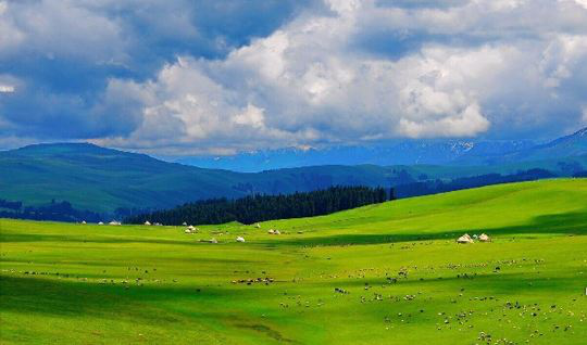 Yili Grassland (Xinjiang) (Best season: July, August, and September each year)