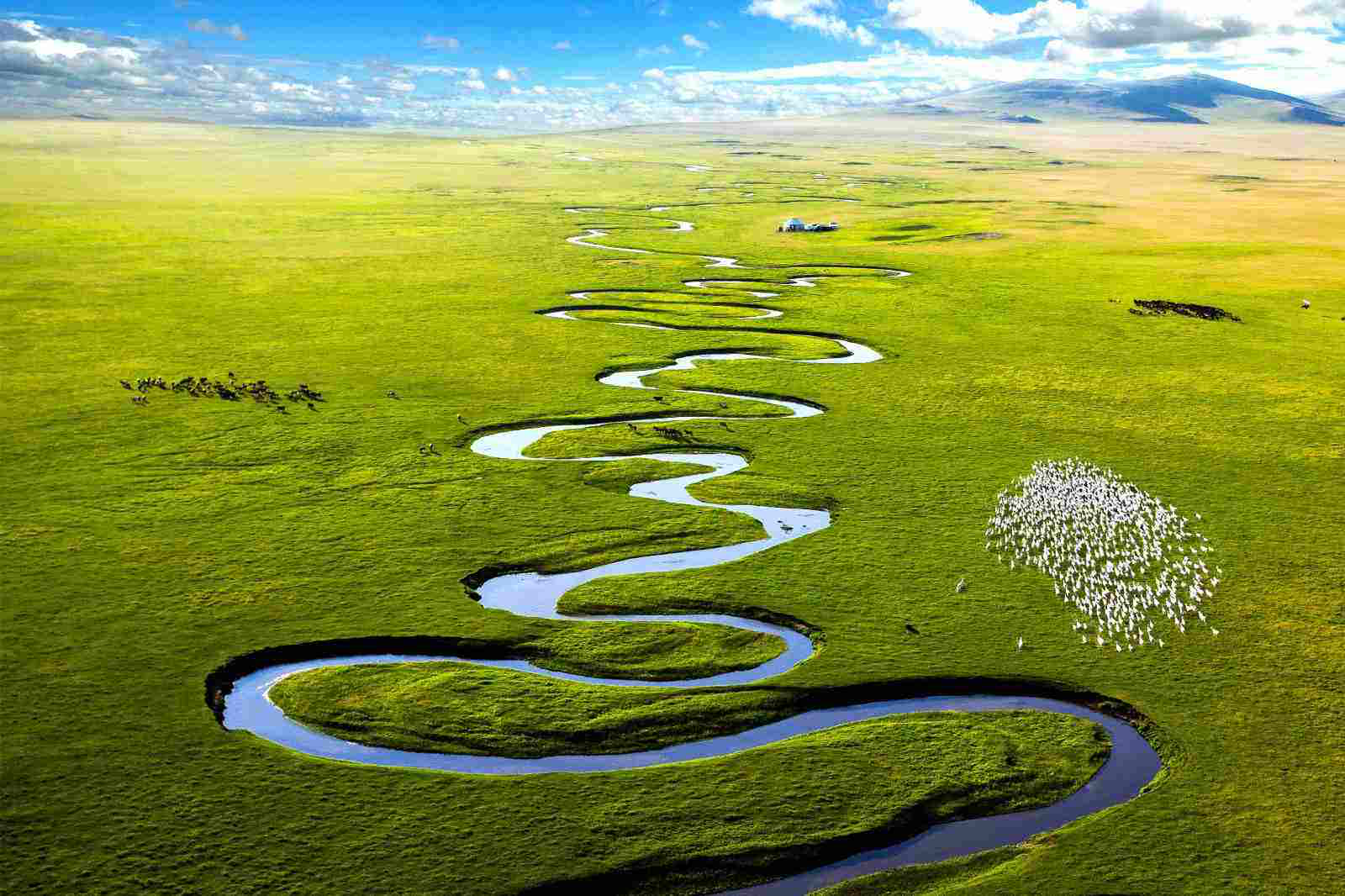 Xilinguole Grassland (Inner Mongolia) (Best season: July and August each year)