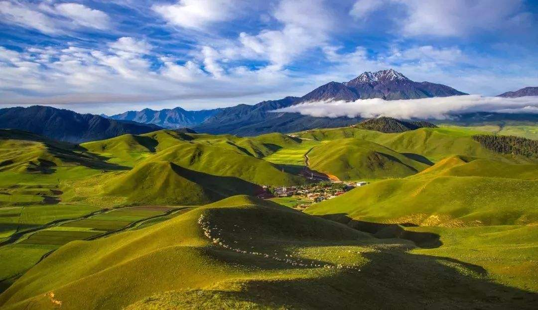 Qilian Mountain Grassland (Qinghai Gansu) (Best season: June and July)
