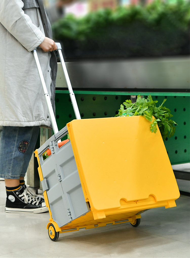 Foldable portable trolley bag