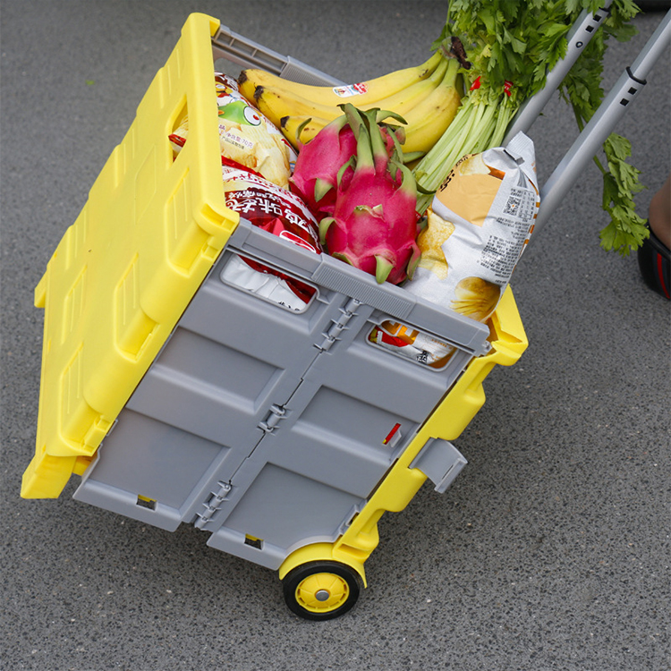 Foldable portable trolley bag