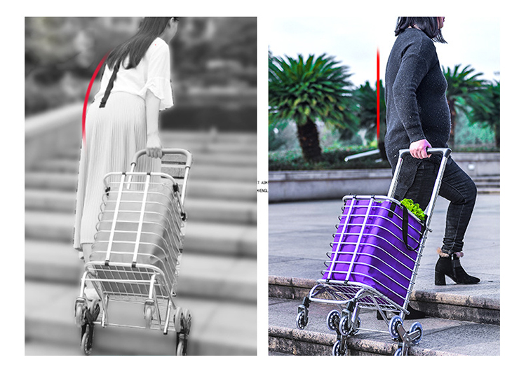 Handle Push Food Shopping cart