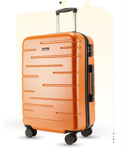 ABS Trolley Luggage