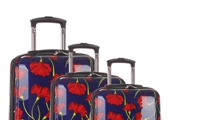 Print Luggage-HY-ZY8011-Greatchip