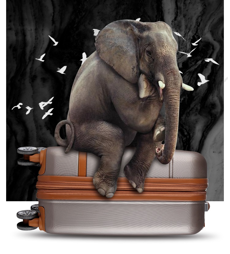 Hardware luggage