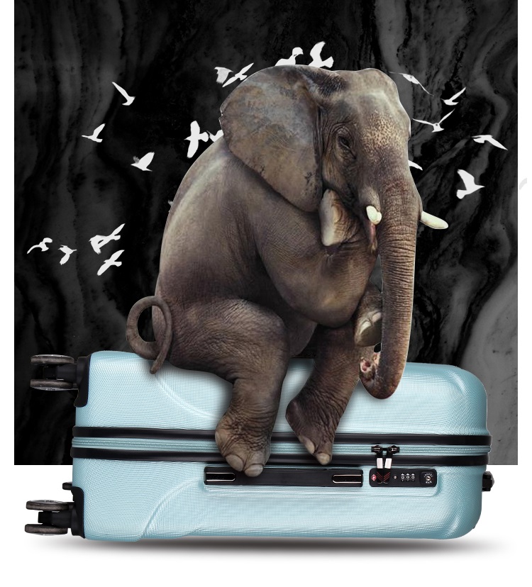 hard travel luggage suitcase