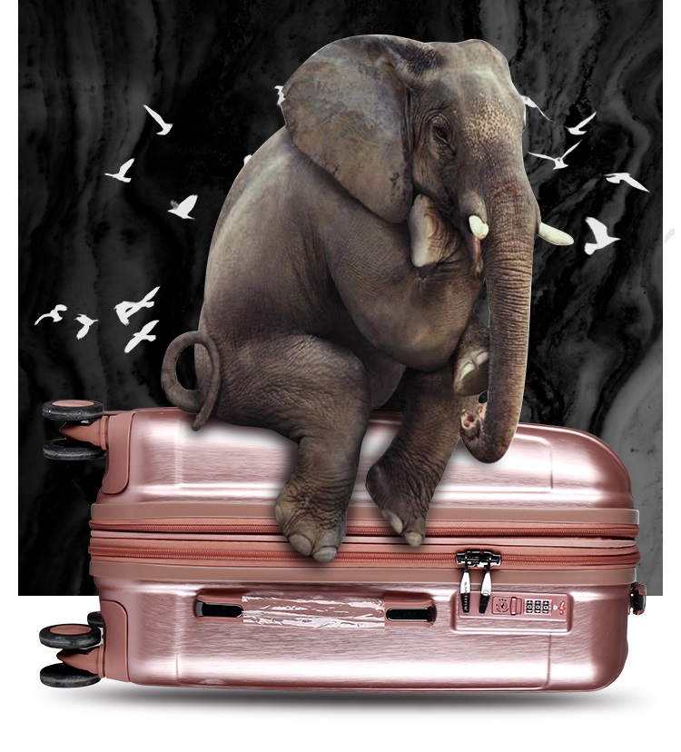 luggage bag travel