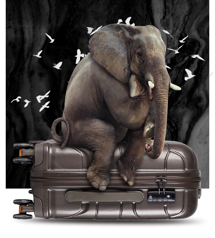 Hard shell luggage sets