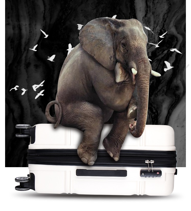 Trolly travel luggage