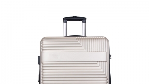  Trolley hand travelling luggage-HTZY9071-Greatchip