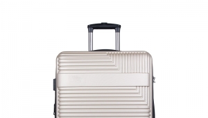  Trolley hand travelling luggage-HTZY9071-Greatchip