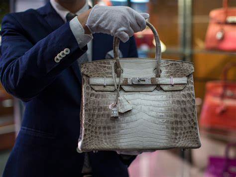 Hermes bag made of mushrooms