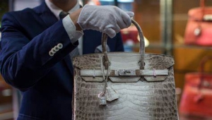 Hermes bag made of mushrooms