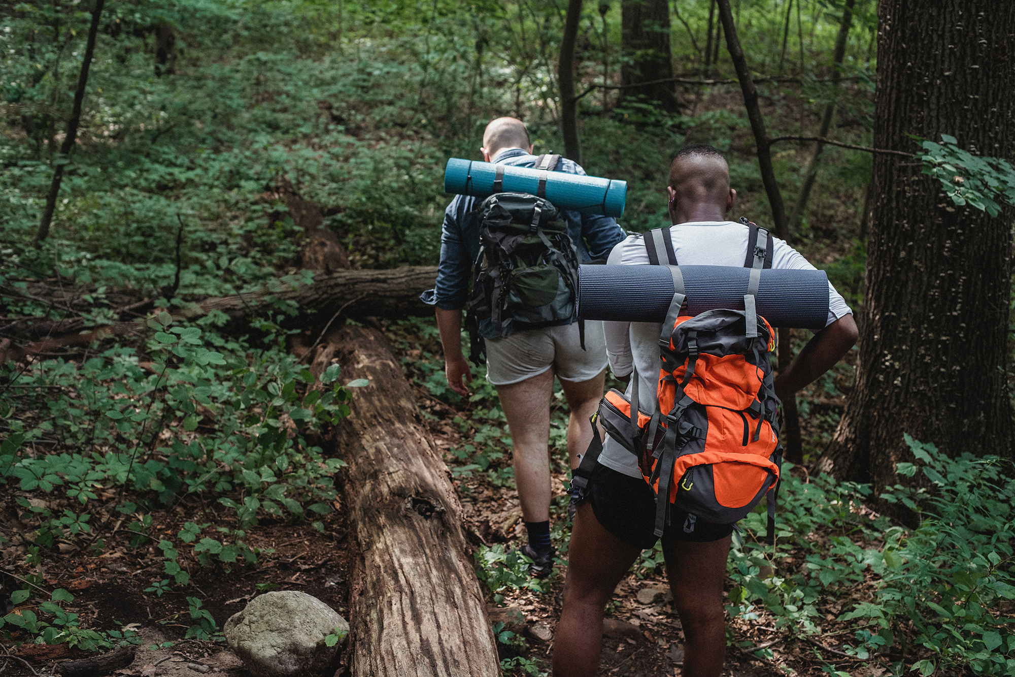 Backpacker's backpack