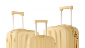 Fashion High Quality Ladies Luggage Hard Shell Waterproof Carry-on